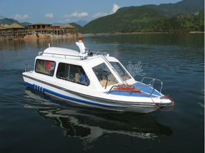 专业生产玻璃钢游艇 580全蓬式快艇
