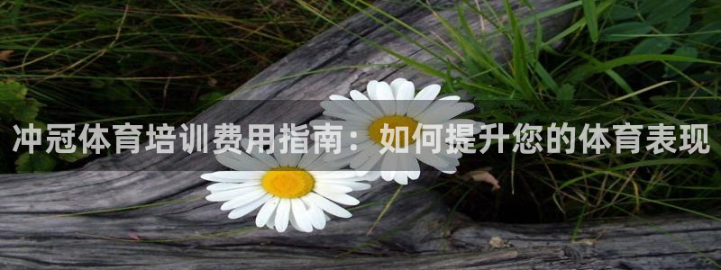 欧陆娱乐怎么注册帐号啊