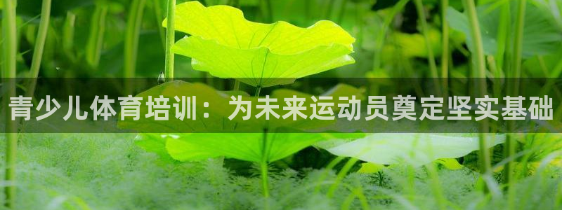 欧陆娱乐平台官网
