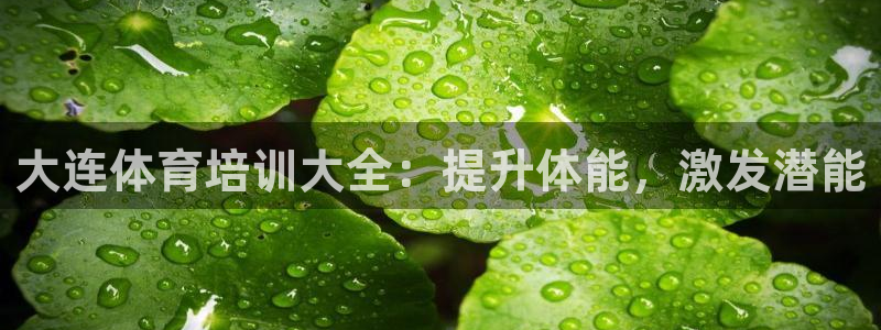 欧陆娱乐可以退钱：大连体育培训大全：提升体能，激发潜