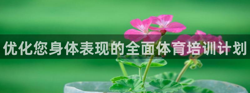 欧陆娱乐登录测速网站：优化您身体表现的全面体育培训计