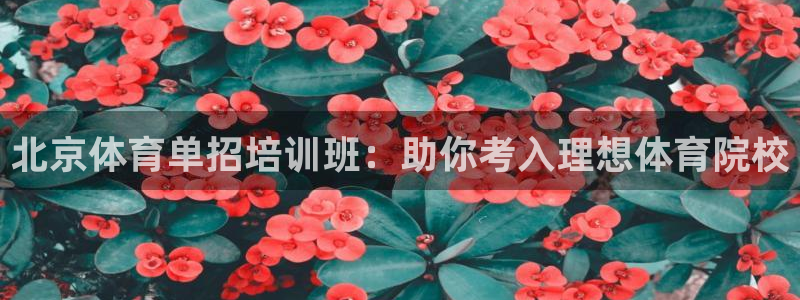 欧陆娱乐平台官网入口：北京体育单招培训班：助你考入理