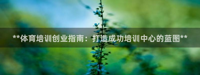 欧陆娱乐脚本怎么下载：**体育培训创业指南：打造成功