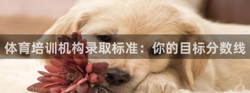 欧陆娱乐app下载：体育培训机构录取标准：你的目标分