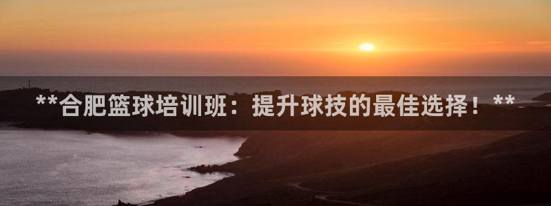 欧陆娱乐官网下载安装手机版：**合肥篮球培训班：提升