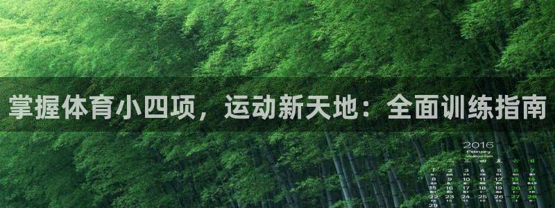 欧陆娱乐平台官网入口：掌握体育小四项，运动新天地：全