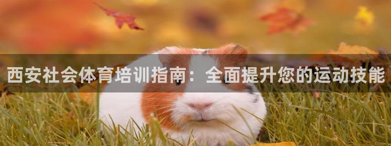 欧陆娱乐客服电话人工服务电话：西安社会体育培训指南：
