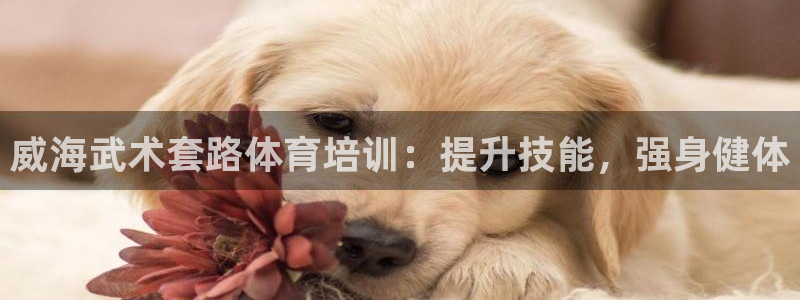 欧陆娱乐能提现嘛安全吗：威海武术套路体育培训：提升技