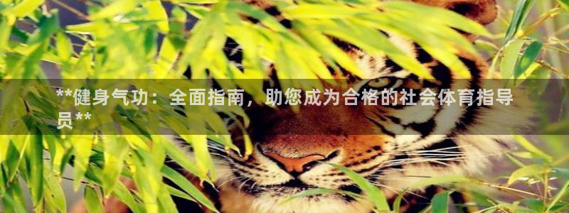 欧陆娱乐是干什么的：**健身气功：全面指南，助您成为