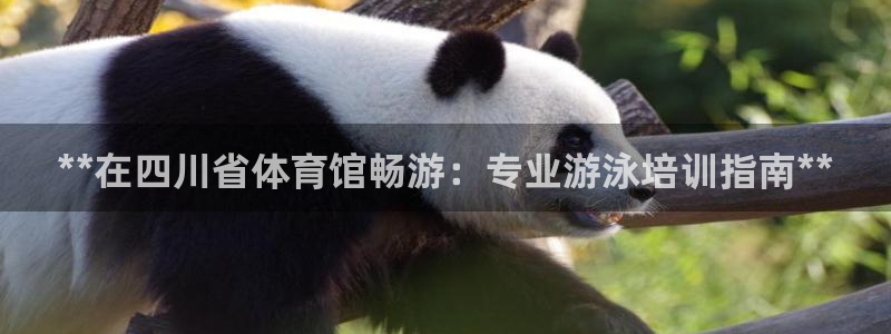 欧陆娱乐官网下载安装最新版：**在四川省体育馆畅游：