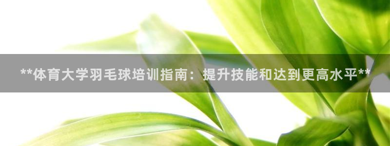 欧陆娱乐测速软件下载：**体育大学羽毛球培训指南：提