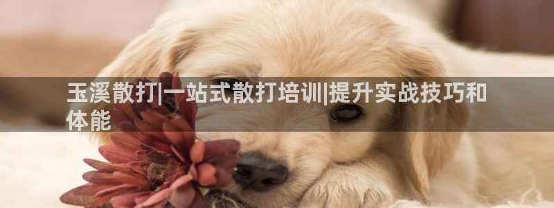 欧陆娱乐是正规平台吗安全吗可靠吗知乎：玉溪散打|一站