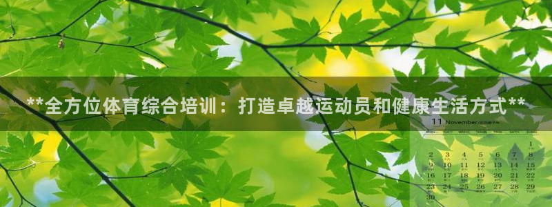 欧陆娱乐登录官网入口：**全方位体育综合培训：打造卓