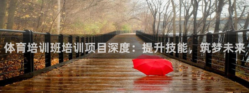 欧陆娱乐里面怎么看打排五：体育培训班培训项目深度：提