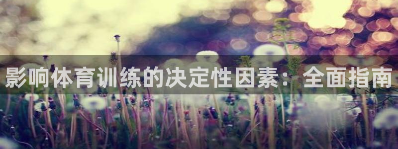 欧陆娱乐是正规吗?：影响体育训练的决定性因素：全面指