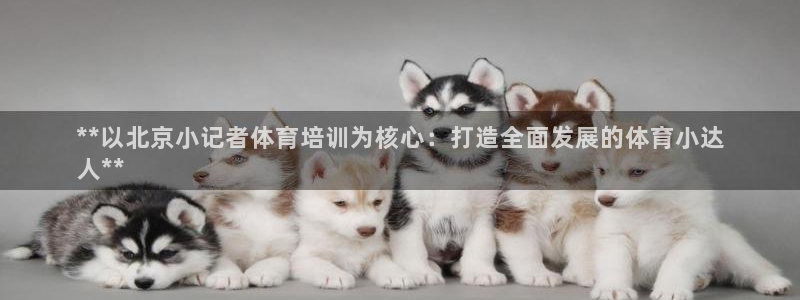 欧陆娱乐怎么注册账号：**以北京小记者体育培训为核心
