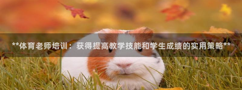 欧陆娱乐官网首页网址：**体育老师培训：获得提高教学