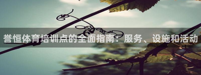 欧陆娱乐共创美好时刻：誉恒体育培训点的全面指南：服务