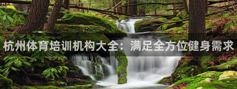 欧陆娱乐是资金盘吗：杭州体育培训机构大全：满足全方位