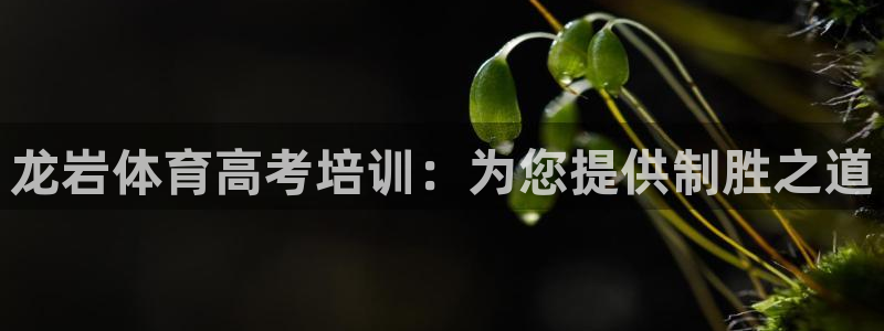 欧陆娱乐是正规平台吗安全吗可信吗：龙岩体育高考培训：