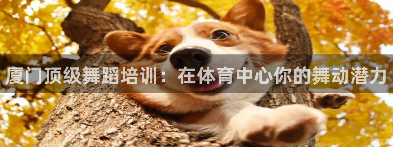 欧陆娱乐合法吗?：厦门顶级舞蹈培训：在体育中心你的舞
