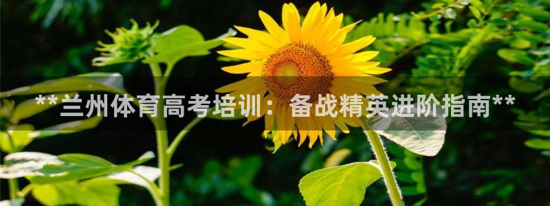 欧陆娱乐登录官网下载：**兰州体育高考培训：备战精英
