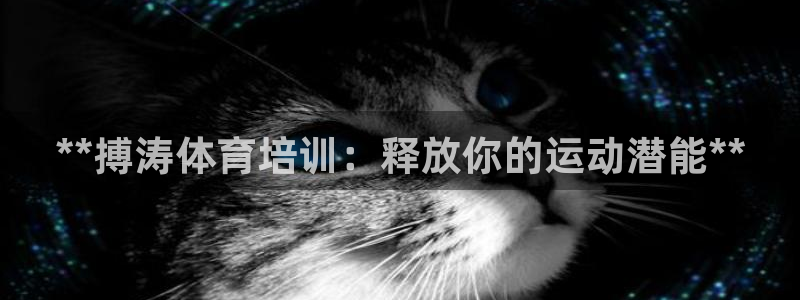 欧陆娱乐欧陆主管