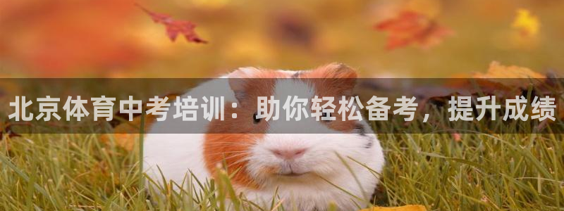 欧陆娱乐代理多少个点位合适：北京体育中考培训：助你轻