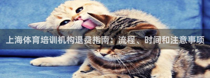 欧陆娱乐累计盈利多少就会被劝退呢：上海体育培训机构退