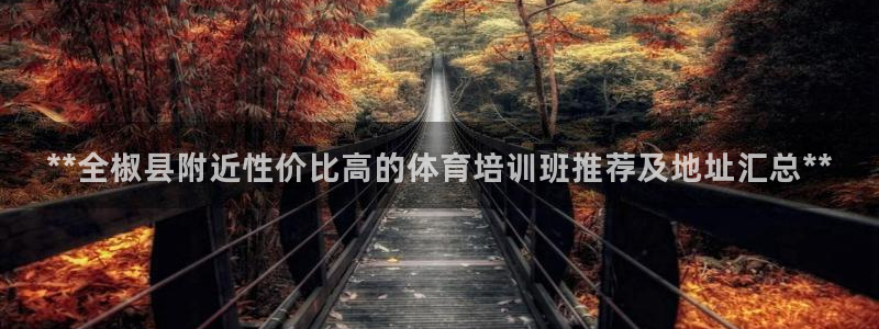 欧陆娱乐挂机怎么玩：**全椒县附近性价比高的体育培训