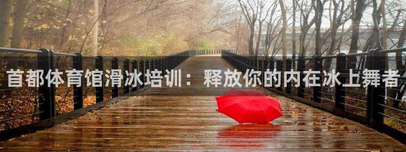 欧陆娱乐注册链接安全吗知乎：首都体育馆滑冰培训：释放