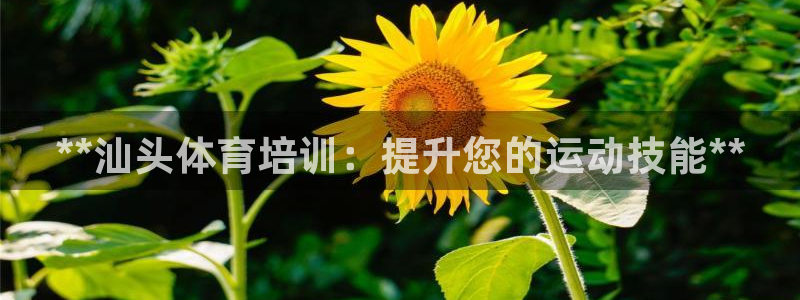欧陆娱乐注册代理多少钱一年：**汕头体育培训：提升您