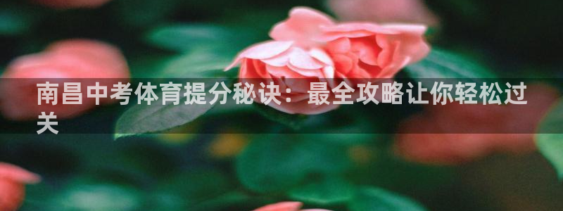 欧陆娱乐打什么方案赚钱：南昌中考体育提分秘诀：最全攻
