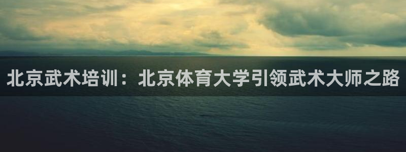 欧陆娱乐百科百度：北京武术培训：北京体育大学引领武术