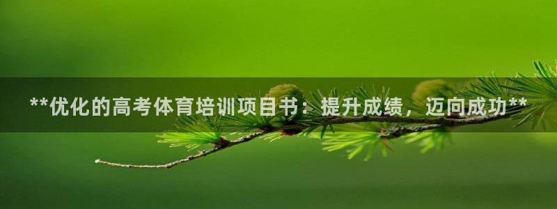 欧陆娱乐平台咋样赚钱：**优化的高考体育培训项目书：