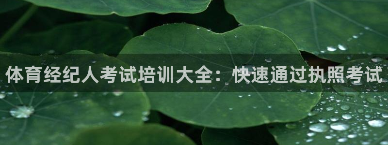 欧陆娱乐计划app官方正版安装下载苹果：体育经纪人考