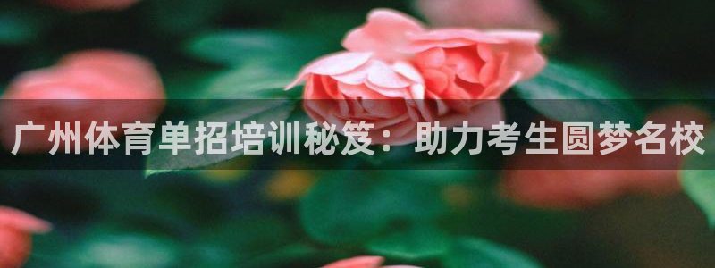 欧陆娱乐注册链接安全吗：广州体育单招培训秘笈：助力考