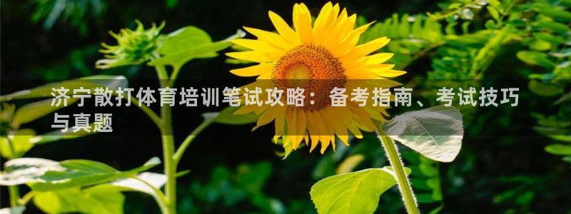 欧陆娱乐平台登录不上去了：济宁散打体育培训笔试攻略：