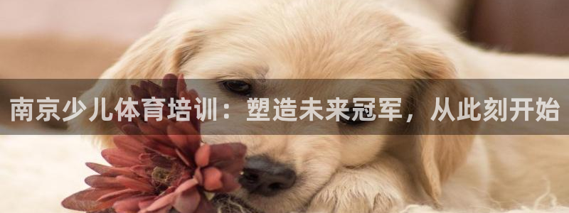 欧陆娱乐代理多少个点位可以赚钱：南京少儿体育培训：塑