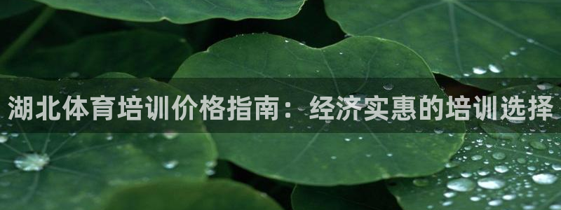 欧陆娱乐合法吗?：湖北体育培训价格指南：经济实惠的培