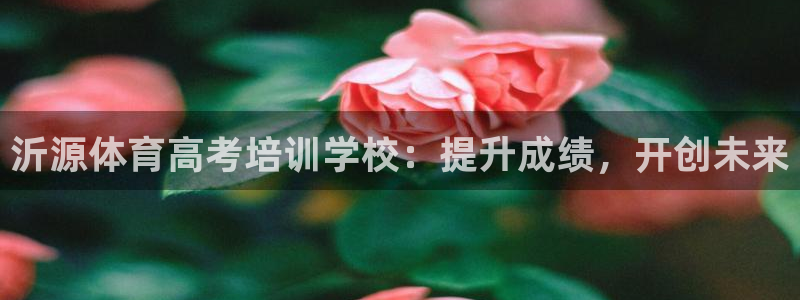 欧陆娱乐app攻略大全：沂源体育高考培训学校：提升成
