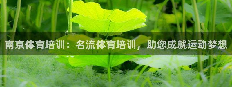 欧陆娱乐是正规平台吗安全吗：南京体育培训：名流体育培