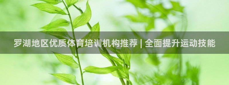 欧陆娱乐挂机项目有哪些：罗湖地区优质体育培训机构推荐