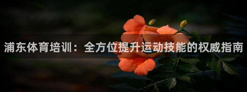 欧陆娱乐不让提现：浦东体育培训：全方位提升运动技能的