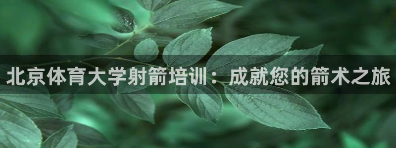 欧陆娱乐平台登陆地址在哪改：北京体育大学射箭培训：成