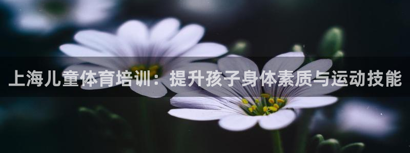 欧陆娱乐平台登陆地址是什么：上海儿童体育培训：提升孩