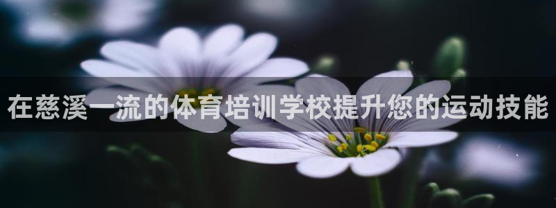 欧陆娱乐计划预测软件：在慈溪一流的体育培训学校提升您