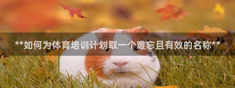 欧陆娱乐游戏：**如何为体育培训计划取一个难忘且有效
