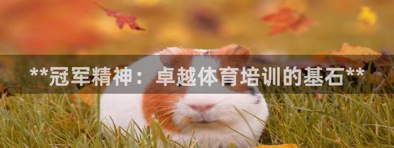 欧陆娱乐官网网址是多少