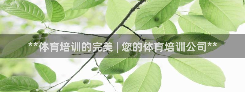 欧陆娱乐讲7O777：**体育培训的完美 | 您的体